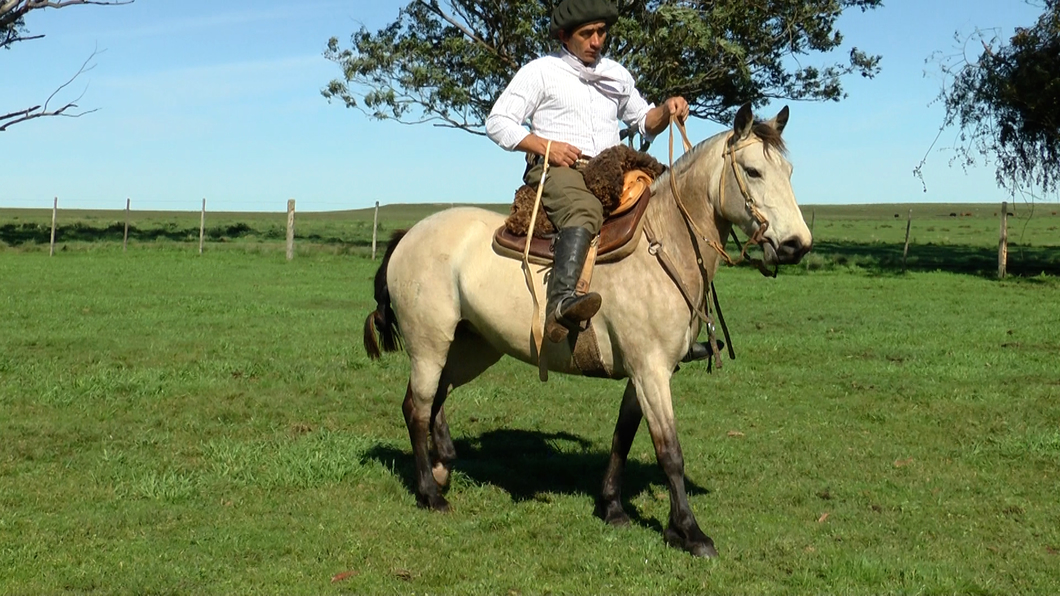 Lote CHICA LA CARRETA