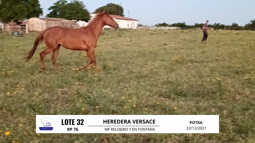 Lote HEREDERA VERSACE