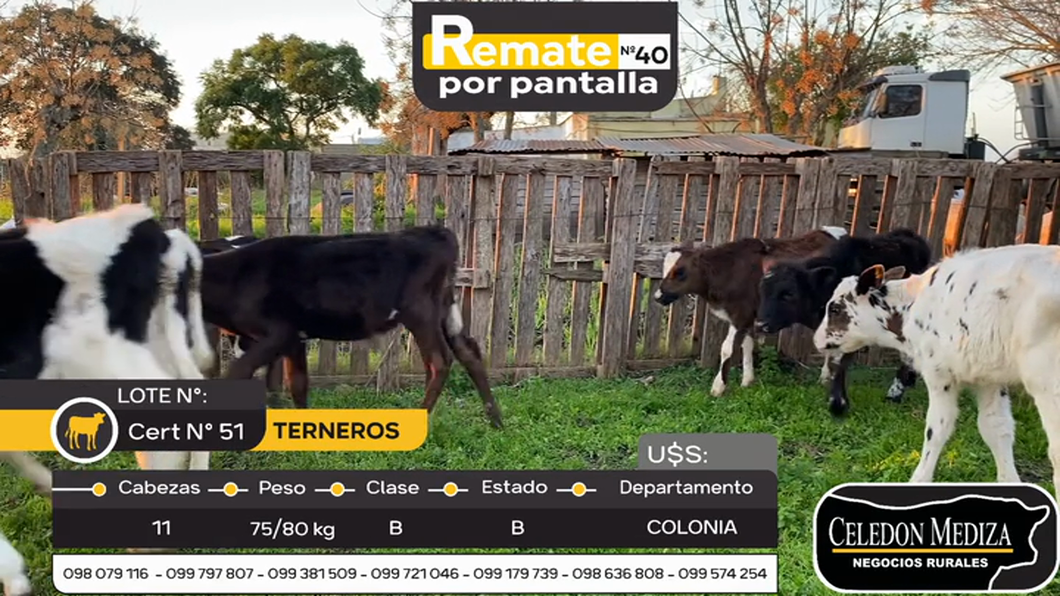 Lote 11 Terneros en Tarariras, Colonia