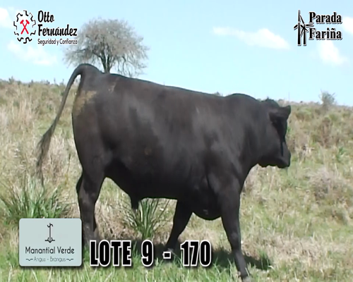 Lote LOTE 9