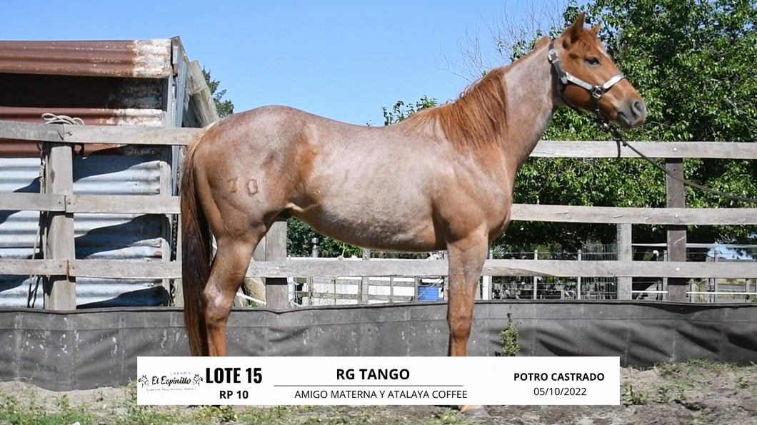 Lote RG TANGO