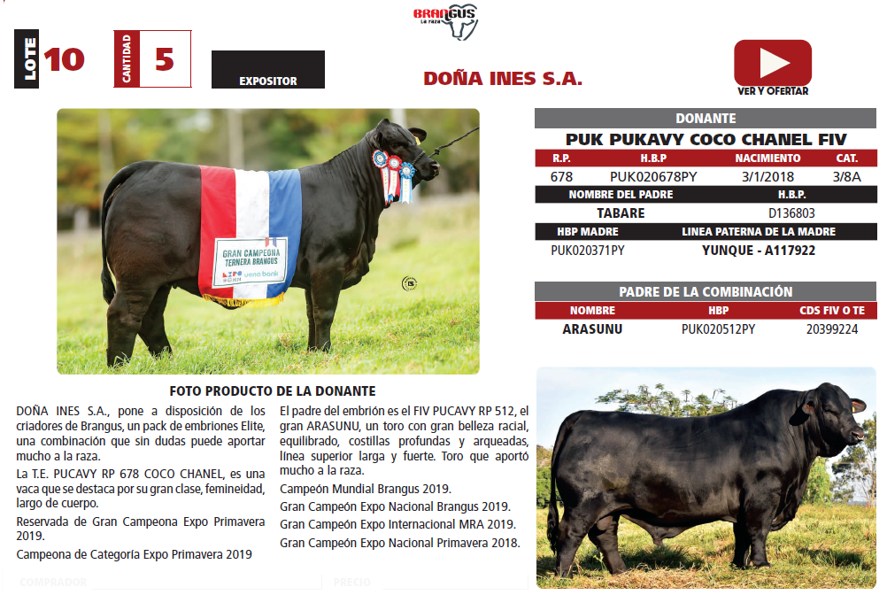 Lote LOTE 10