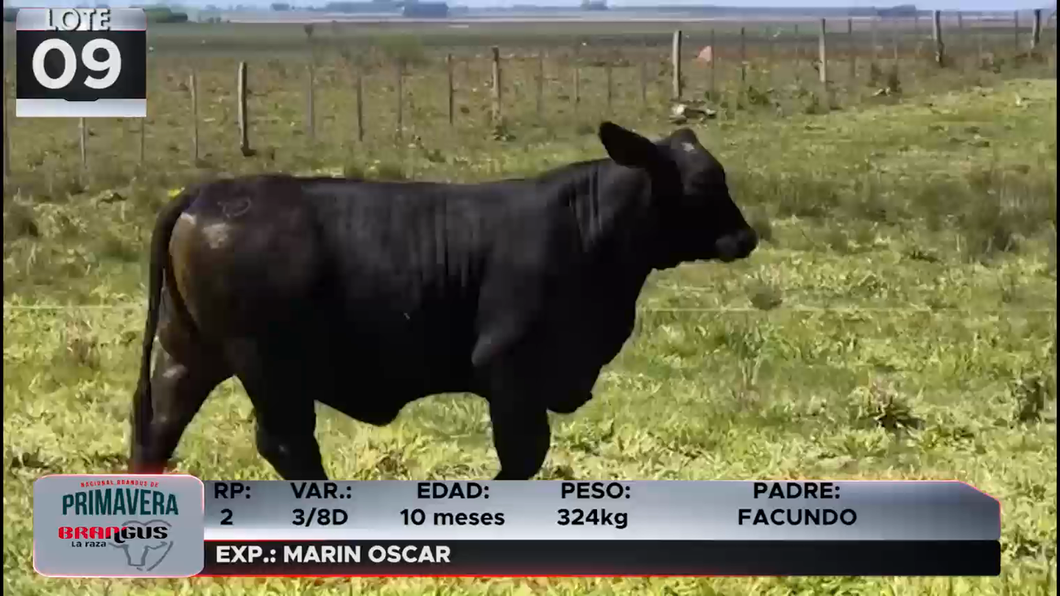 Lote LOTE 9