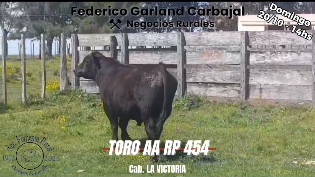 Lote TORO PI ANGUS a remate en Expo Ombues en OMBUES DE LAVALLE