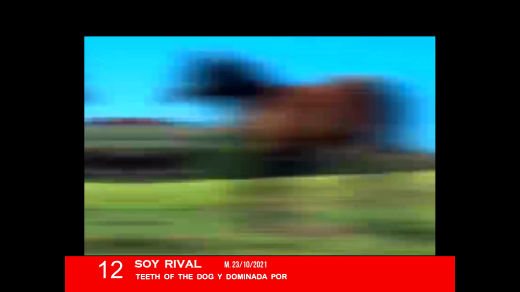 Lote SOY RIVAL