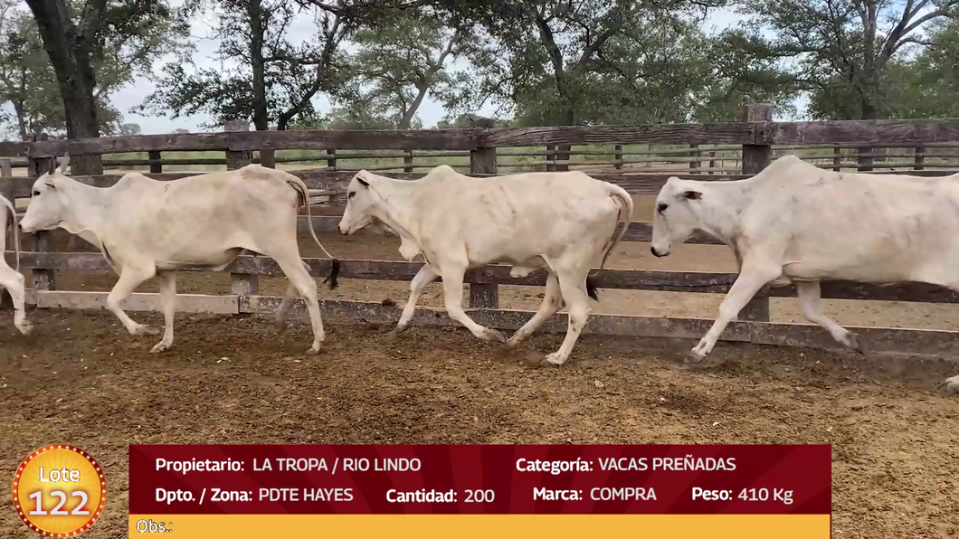 Lote LOTE 122