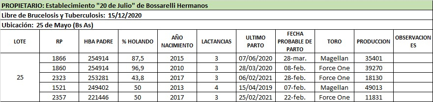 Lote Lote 25
