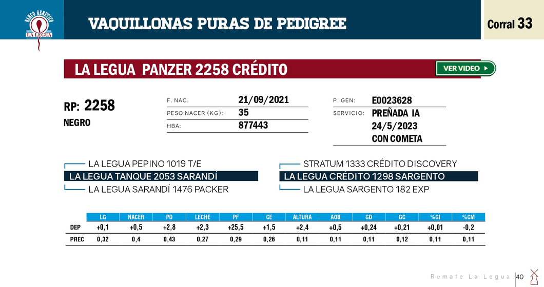 Lote VAQUILLONAS PP REMATE