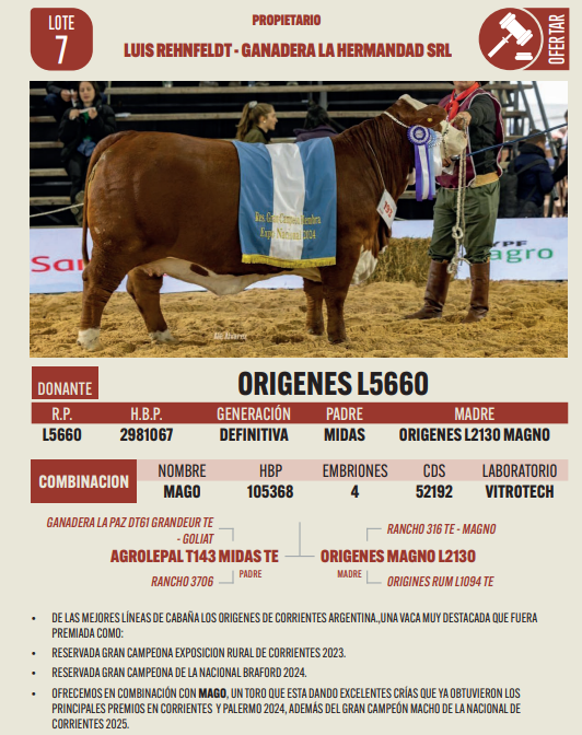 Lote LOTE 7