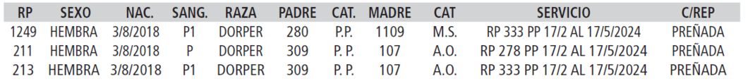 Lote LOTE 50