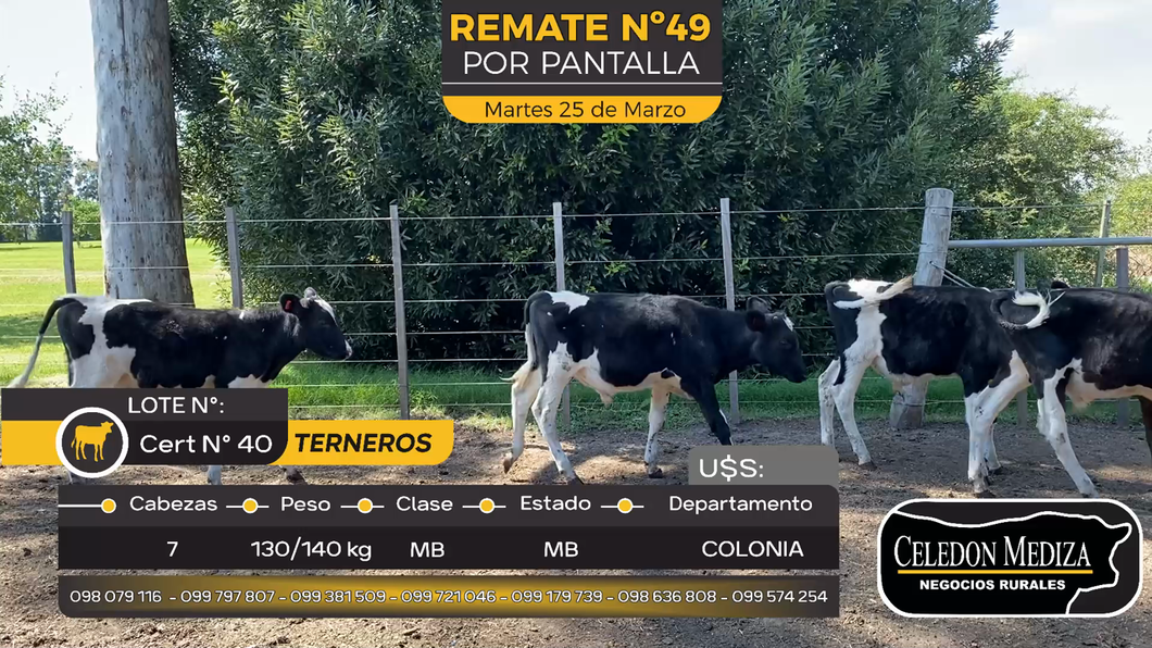 Lote 7 Terneros en Tarariras, Colonia