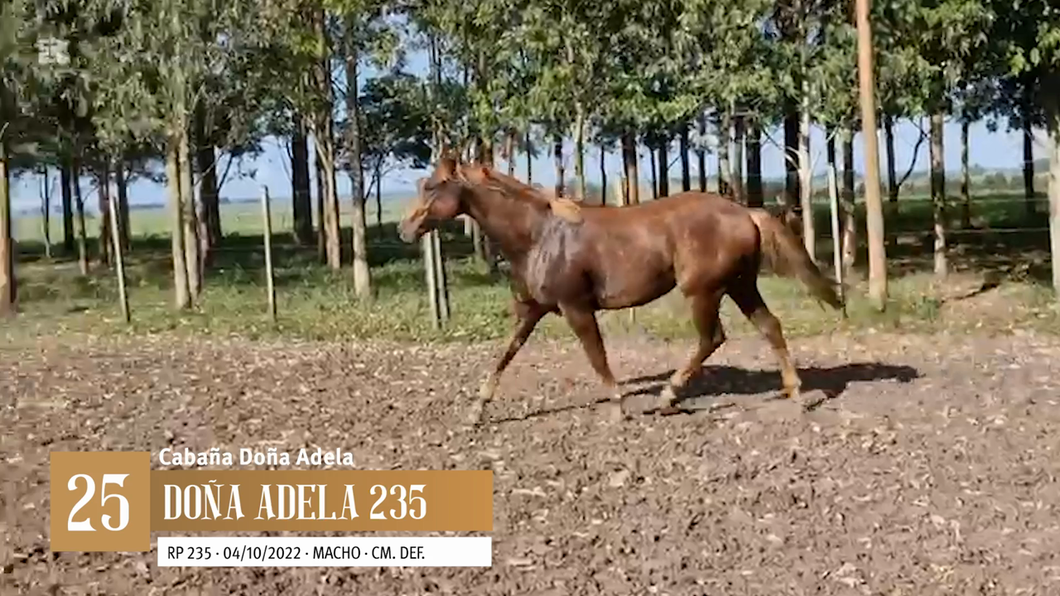 Lote Yeguarizos a remate en Entre Razas , San José