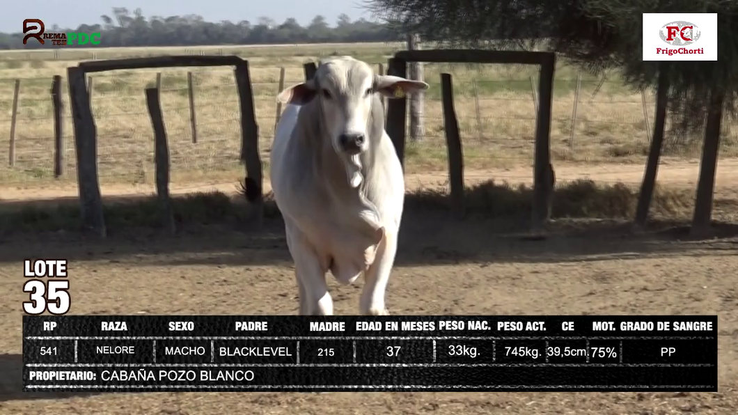 Lote CABAÑA POZO BLANCO