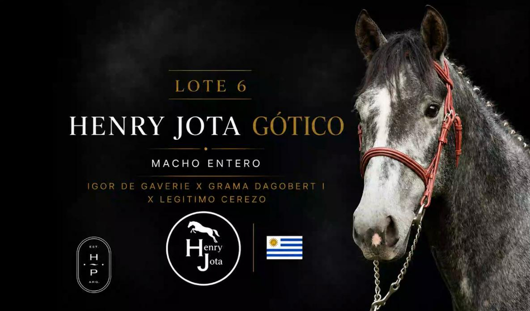 Lote HENRY JOTA GOTICO