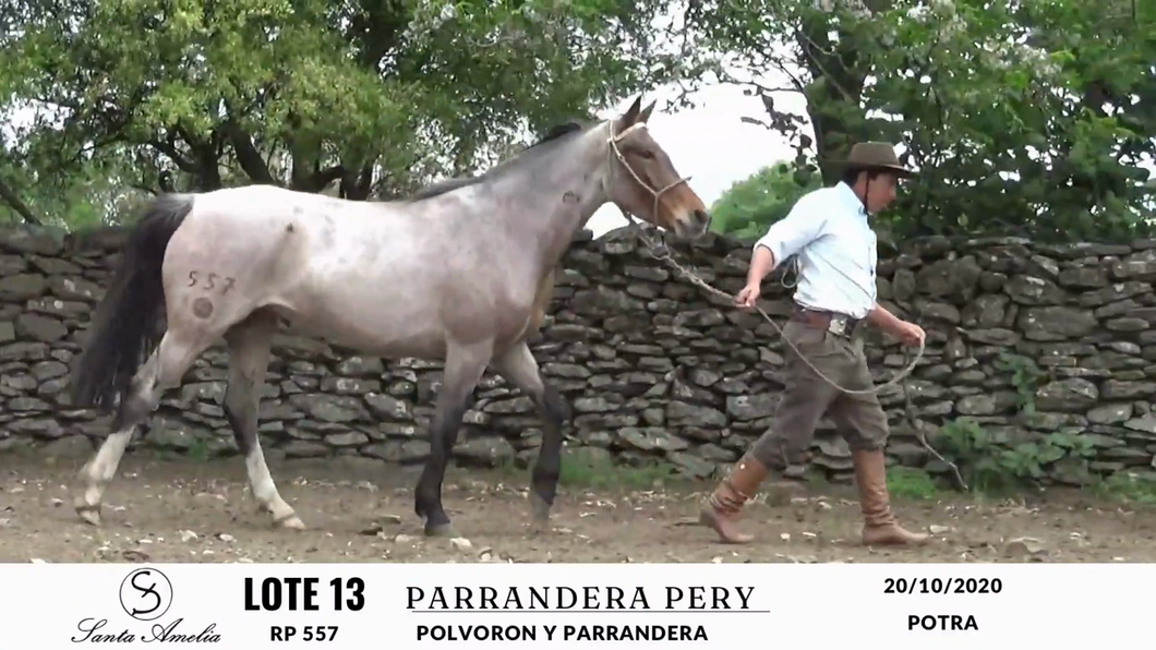 Lote PARRANDERA PERY