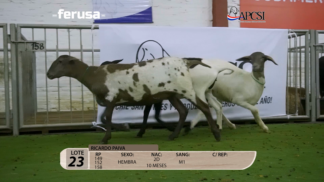 Lote Nacional Santa Inés Campo - Lote 23