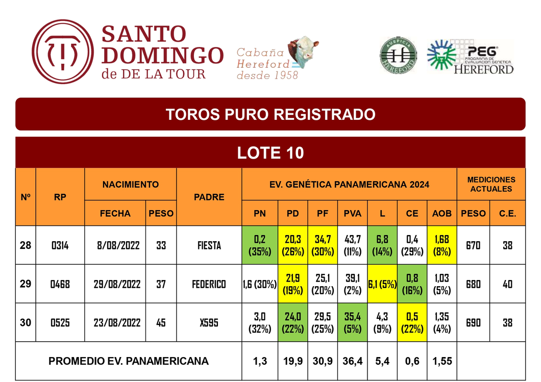 Lote TOROS PR (LOTES) - PR