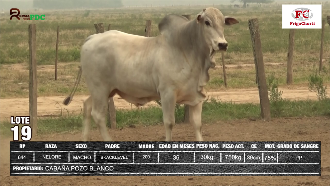 Lote CABAÑA POZO BLANCO