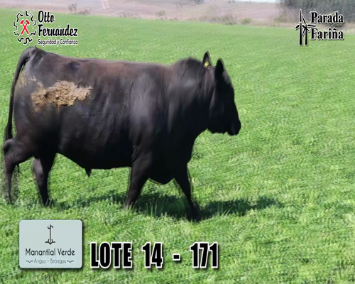 Lote LOTE 14