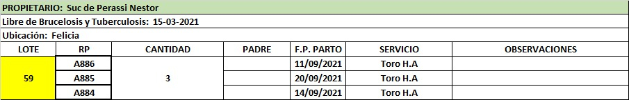 Lote Lote 59 Suc. de Perassi Nestor