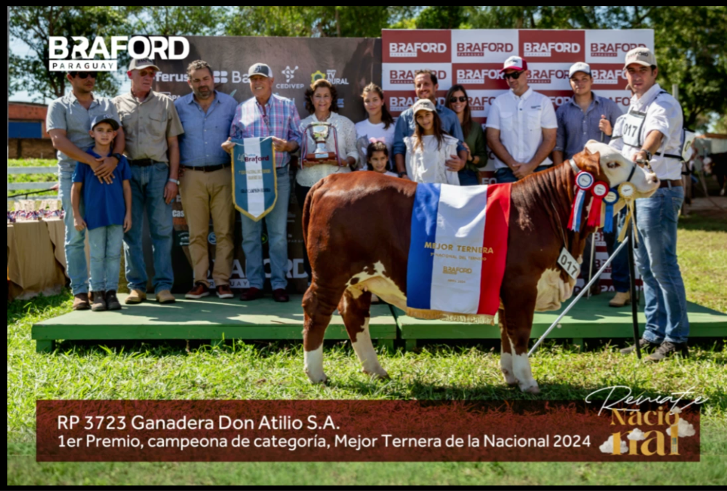 Lote LOTE BOZAL - NRO DE CAT 17