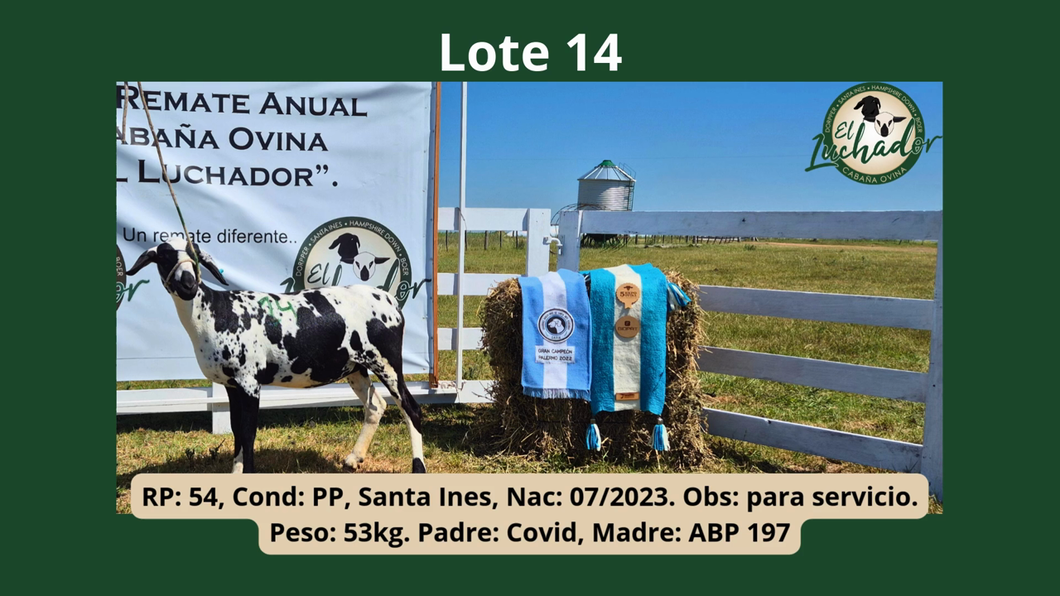 Lote PP