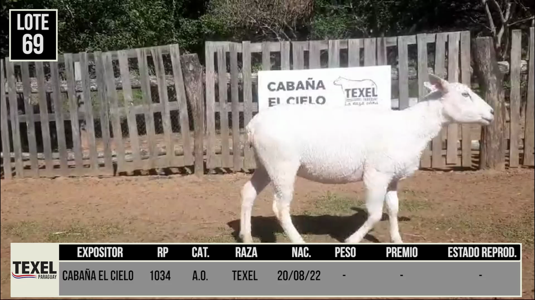 Lote LOTE 69 - CAMPO