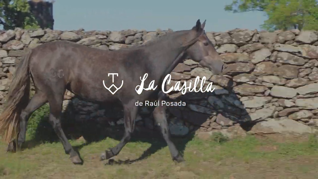 Lote APUESTA 630 DE LA CASILLA