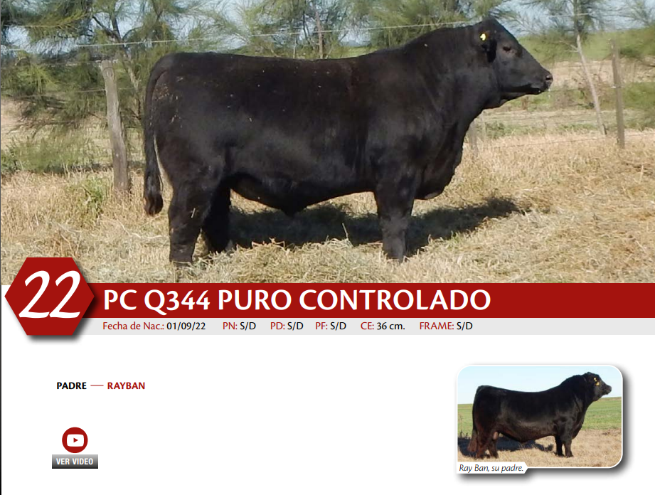 Lote MACHO PC