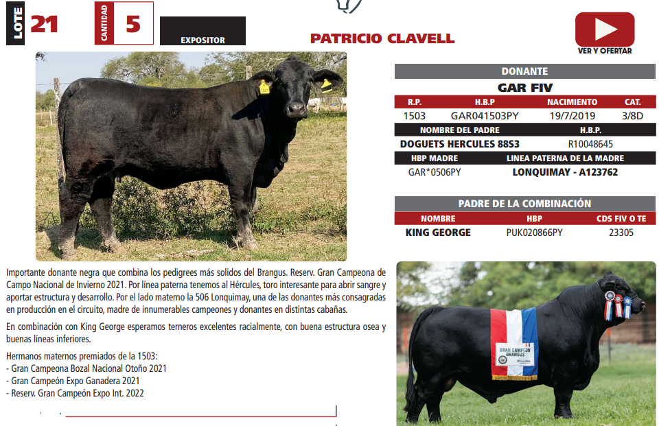 Lote LOTE 21