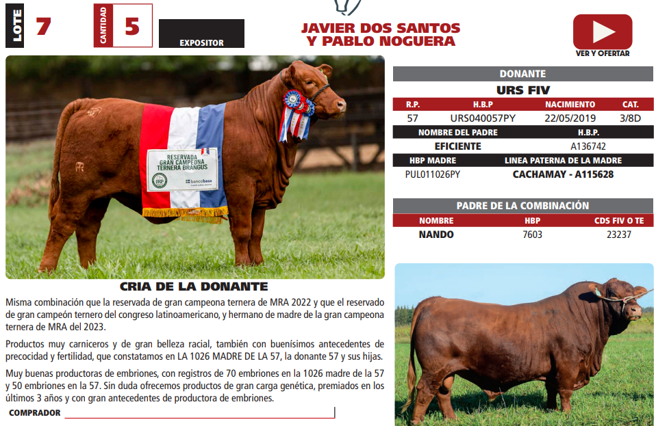 Lote LOTE 7