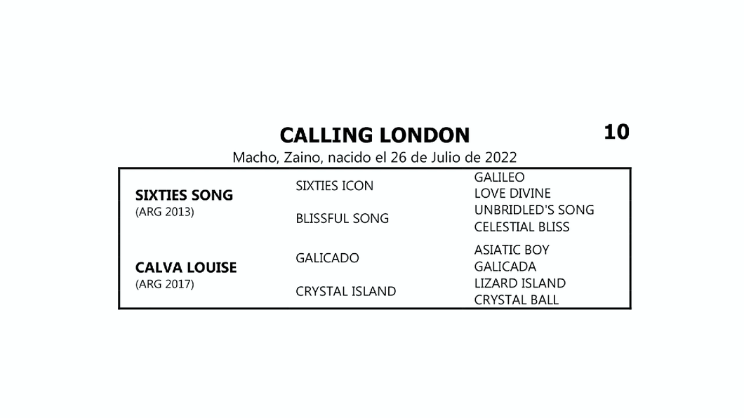 Lote CALLING LONDON (SIXTIES SONG -  CALVA LOUISE por  GALICADO)