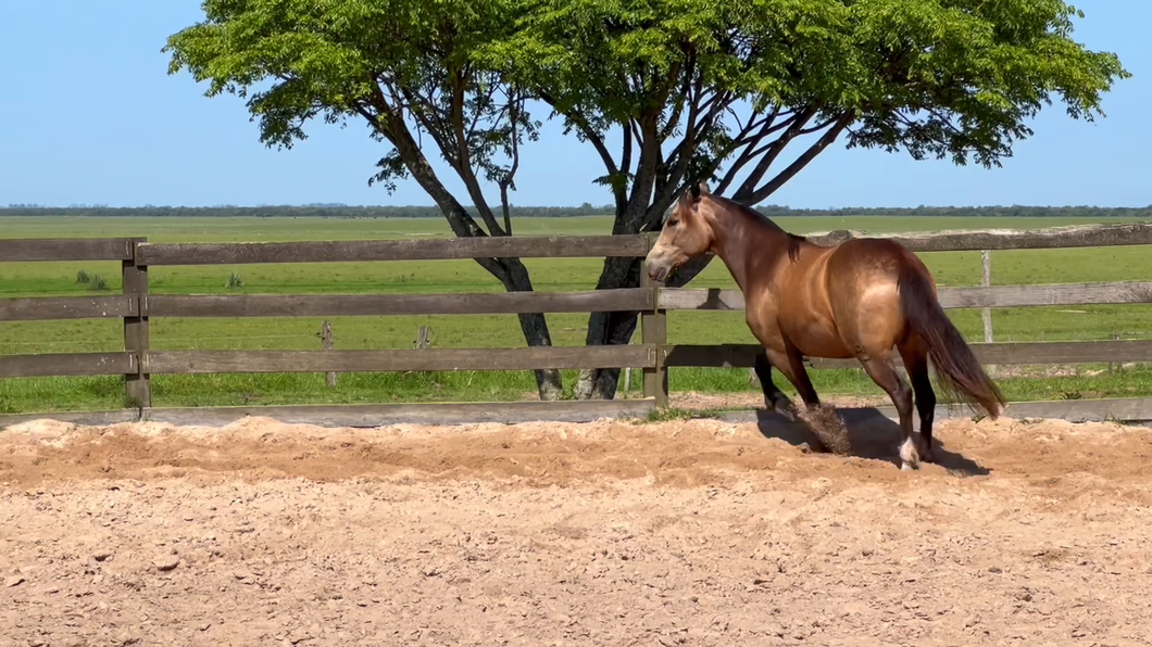 Lote Cañada Nikita