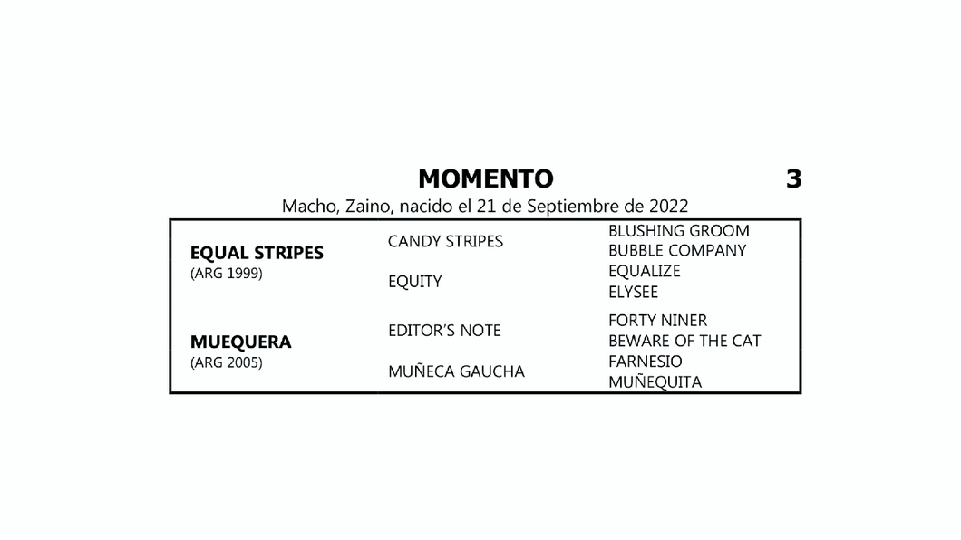 Lote MOMENTO (EQUAL STRIPES - MUEQUERA por  EDITOR'S NOTE)