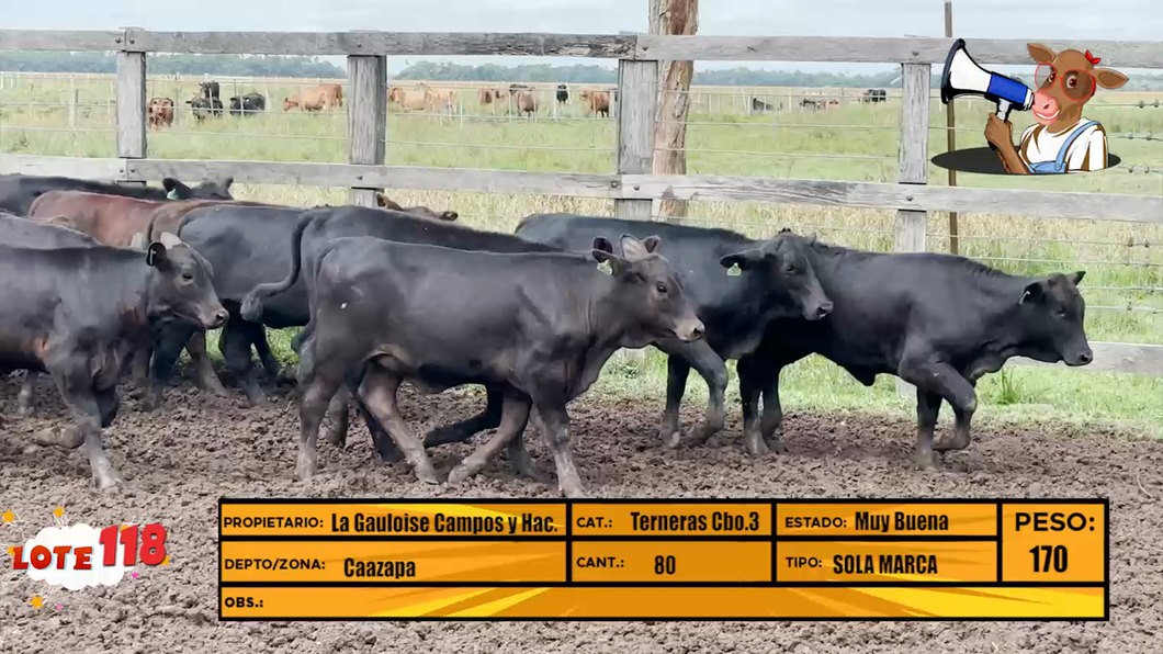 Lote LOTE 118