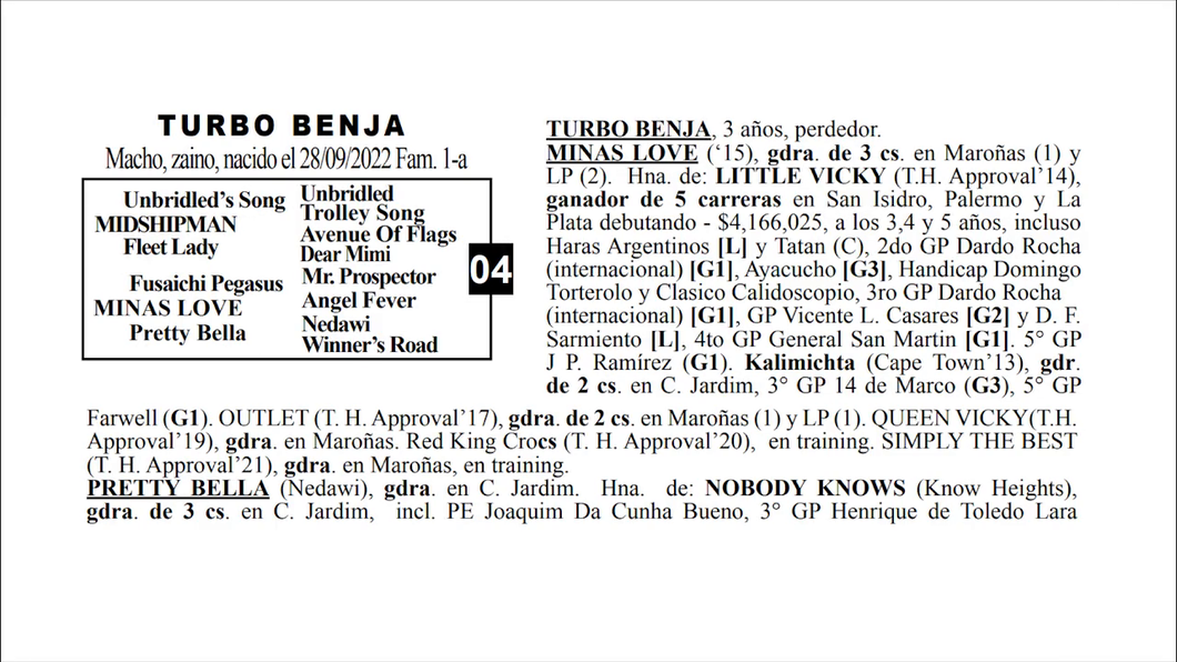 Lote TURBO BENJA
