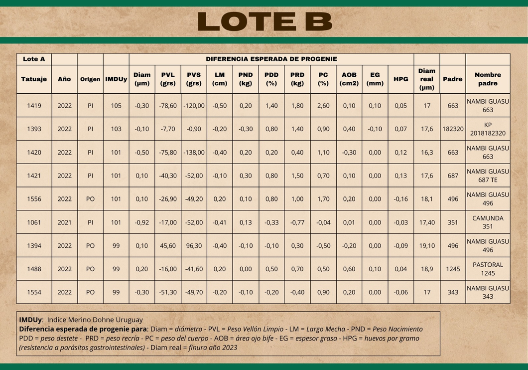 Lote (Vendido)Carneros a remate en Subasta Online - Nambi Guasu, Lavalleja