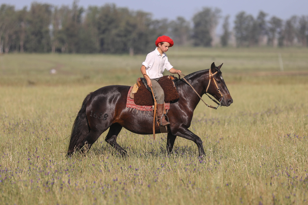 Lote DEL SILENCIO ATRASADA