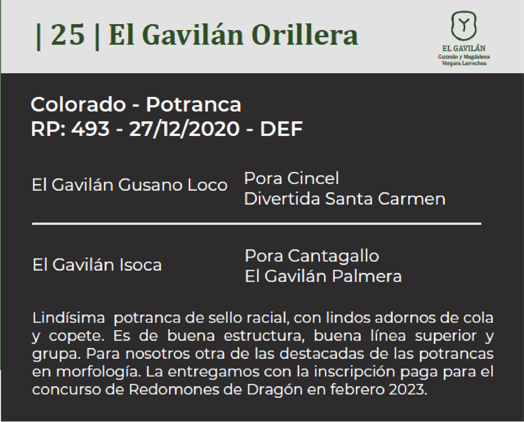 Lote El Gavilán Orillera (RP 493) Cabaña "El Gavilán"