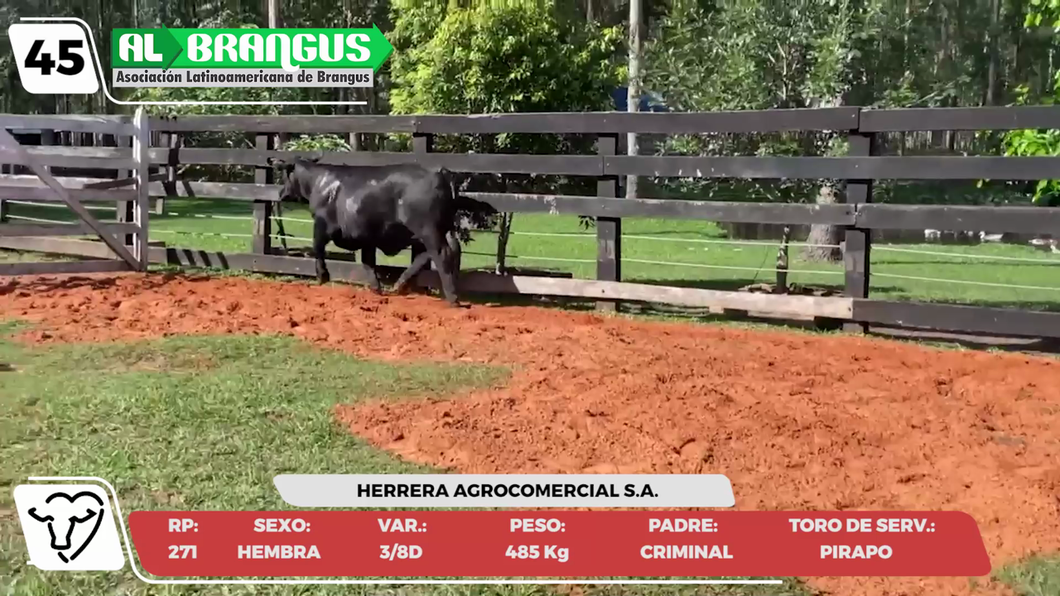 Lote LOTE 45- CAMPO