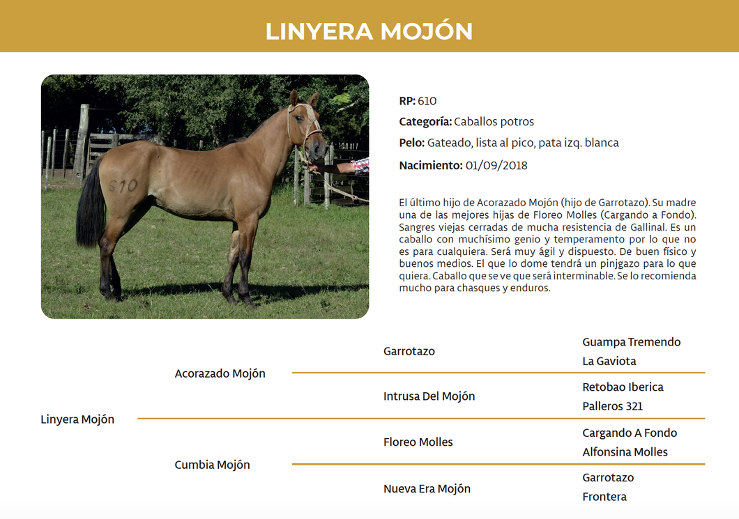 Lote Linyera Mojón (RP 610)