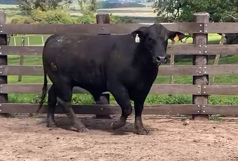 Lote Brete 2 - Cabaña La Tribu de Juan Martin Gamarra