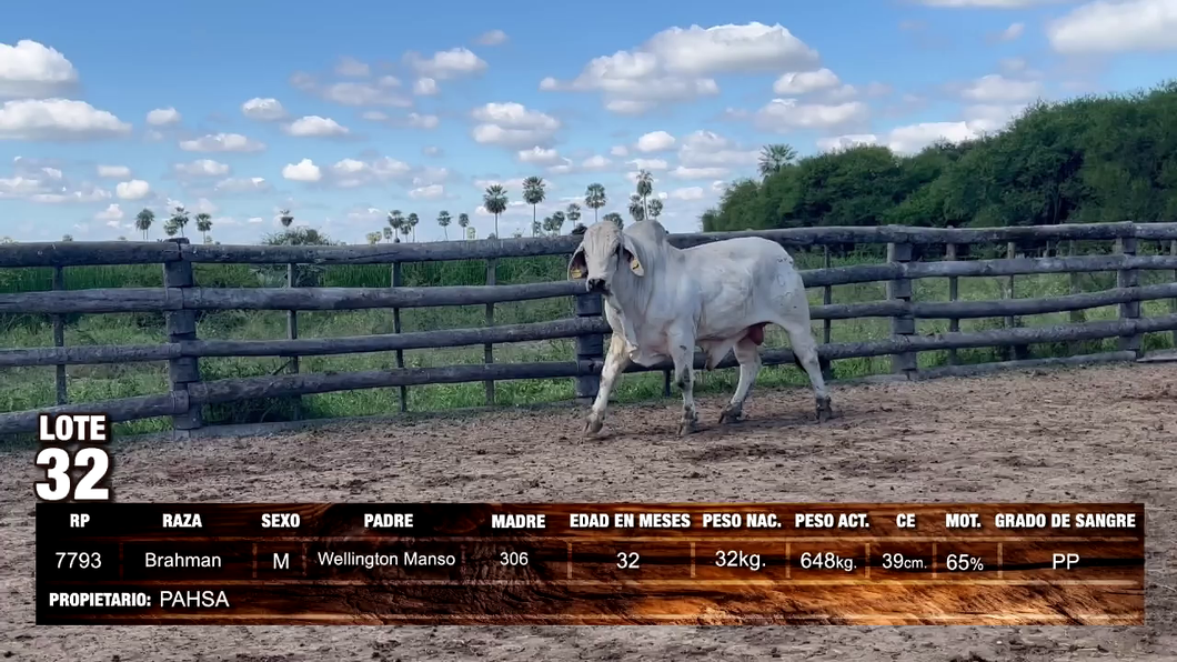 Lote Brahman