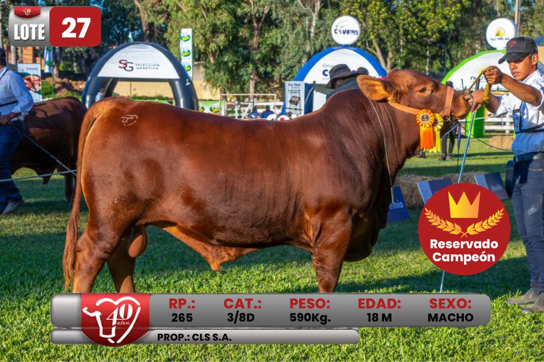 Lote LOTE 27