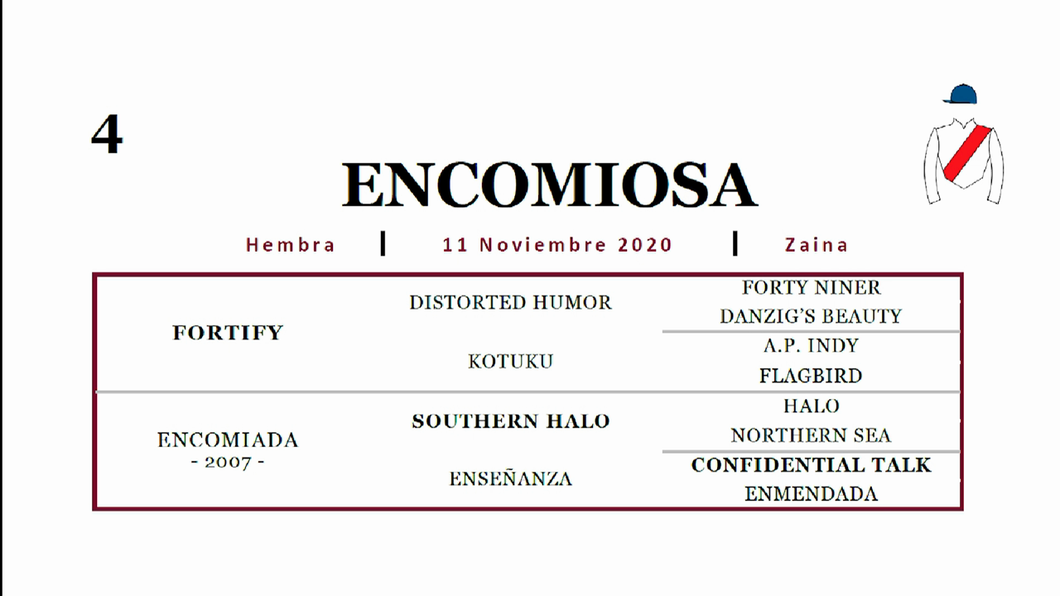 Lote ENCOMIOSA (FORTIFY - ENCOMIADA)