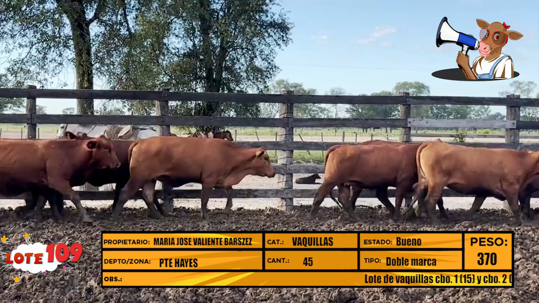Lote LOTE 109