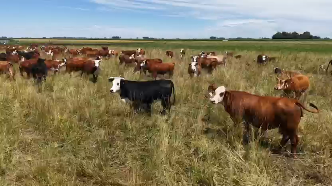 Lote 360 AL CTE NUEVAS