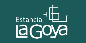 Lote VAQUILLONAS PARICION PRIMAVERA M.A.S. "LA GOYA"