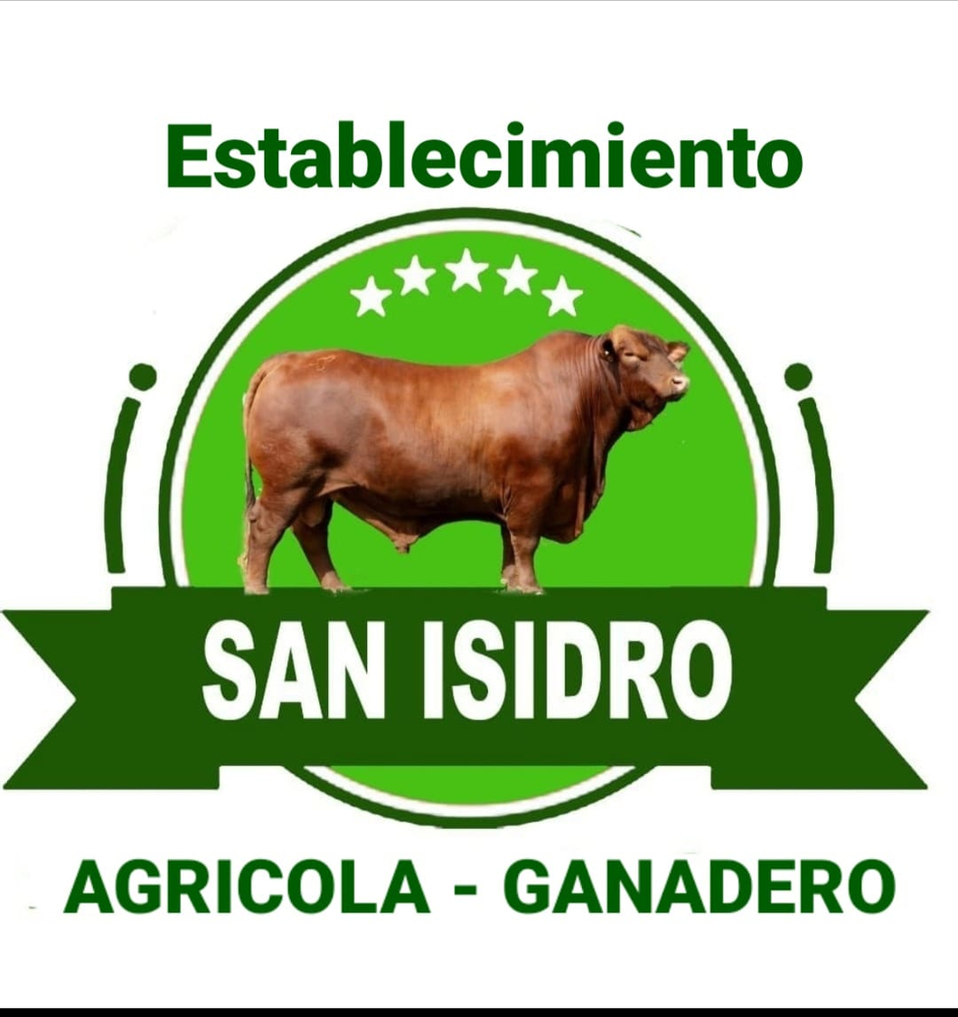 Lote Establecimiento San Isidro - Toro 287