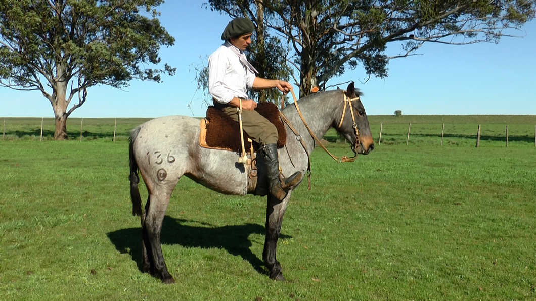 Lote BRASITA LA CARRETA